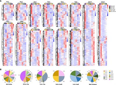 Merozoite Proteins Discovered by qRT-PCR-Based Transcriptome Screening of Plasmodium falciparum